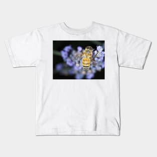 Honey bee (Apis mellifera) gathering nectar on lavender flowers Kids T-Shirt